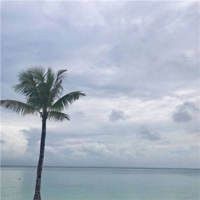 九游穿越吧主公手游下载